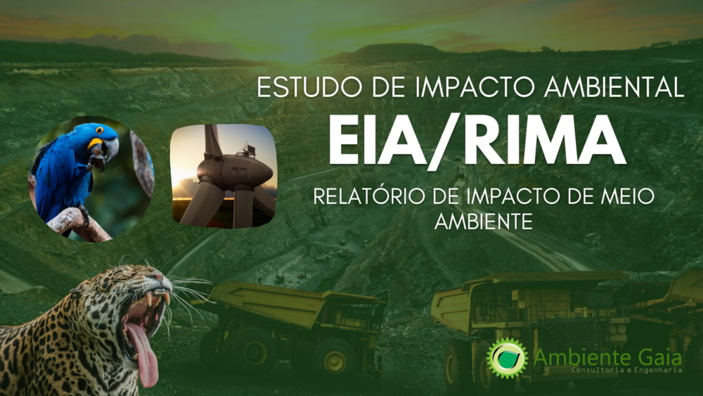 EIA/RIMA - Estudo de Impacto Ambiental
