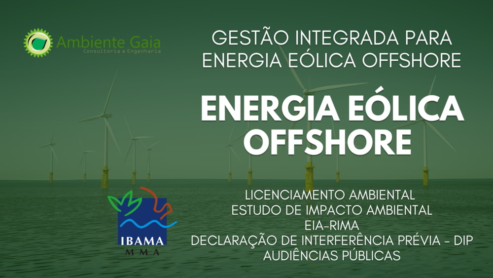Gestão Integrada para Energia Eólica Offshore - Licenciamento - Estudo de Impacto - EIA-RIMA-DIP
