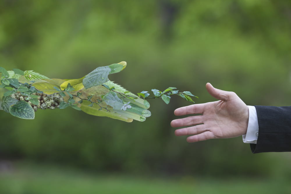 Homem e Natureza em Harmonia e Integração