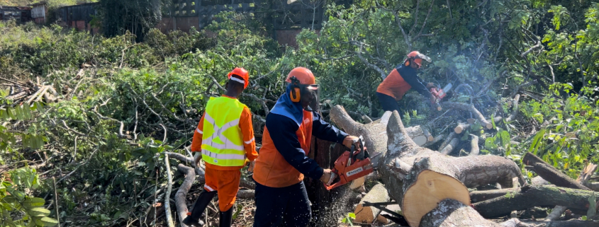 Supressão de Vegetação e Afugentamento e Resgate da Fauna