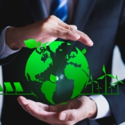 Consultoria Ambiental Ambiente Gaia